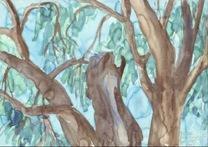 Aquarell