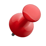Pin